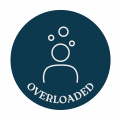 5 professionals – overloaded 5 professionals - overloaded